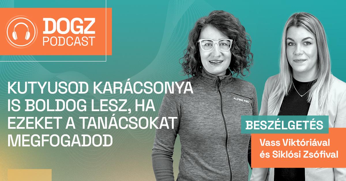 Kutyusod karácsonya is boldog lesz, ha ezeket a tanácsokat megfogadod thumbnail