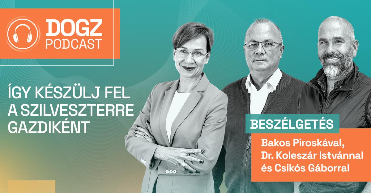 Biztonságban szilveszterkor - szakértők tanácsai az év utolsó napjára thumbnail