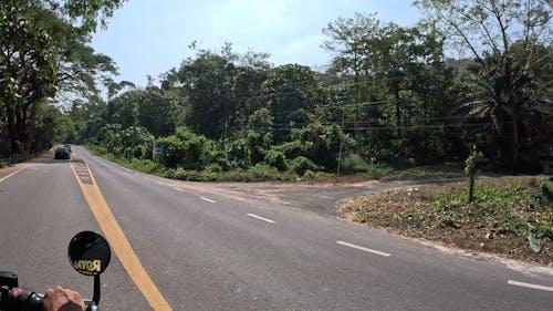 Thumbnail for Bike ride in forest scenery