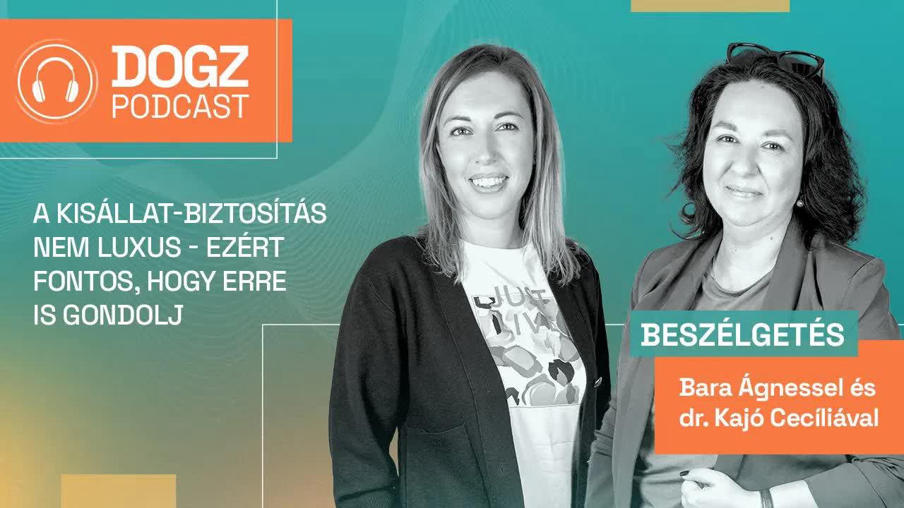 A kisállat-biztosítás nem luxus – ezért fontos, hogy erre is gondolj